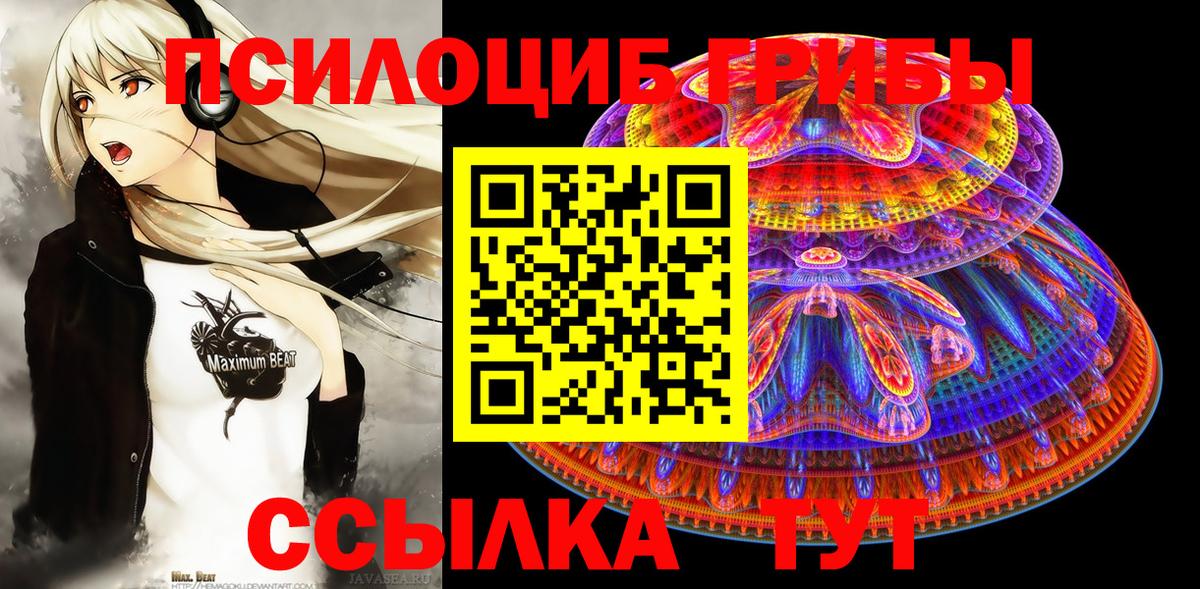 Псилоцибиновые грибы GOLDEN TEACHER Гуково
