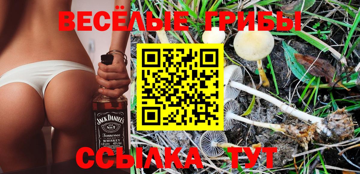 Галлюциногенные грибы Psilocybe  Вход с VPN  Гуково 